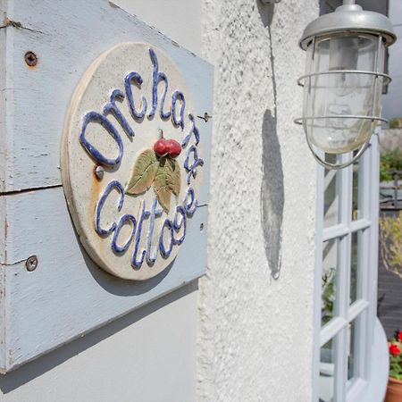 Orchard Cottage 锡德茅斯 外观 照片